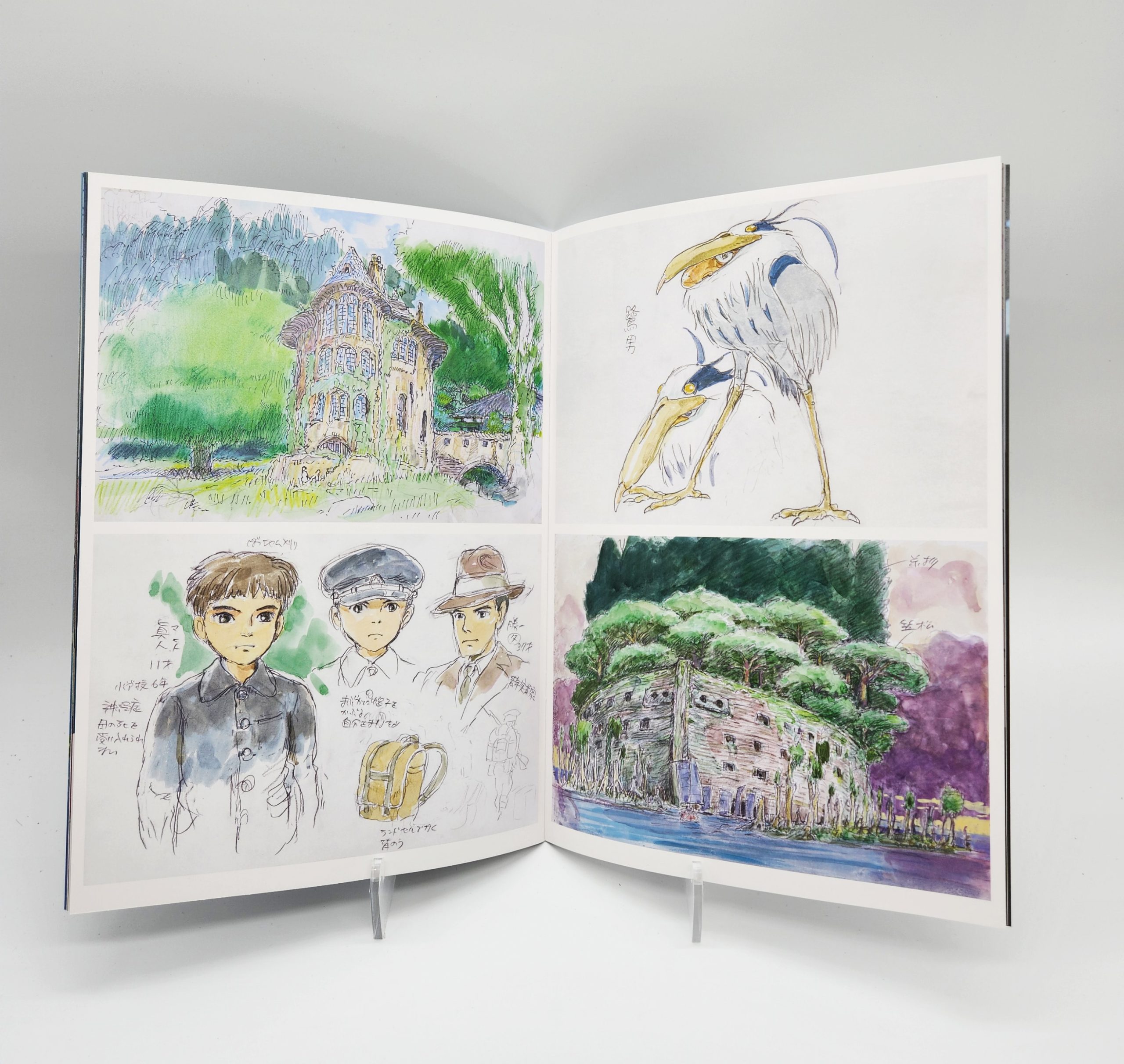 Le garçon et le héron » de Miyazaki s'inspire d'un livre