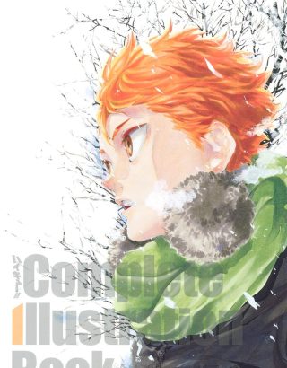 BOOK HAIKYUU! COMPLETE ILLUSTRATION BOOK THE END & THE BEGINNING