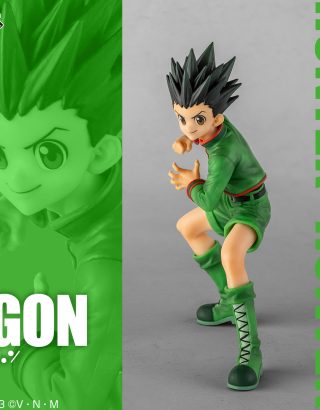 HUNTER X HUNTER DAY OF DEPARTURE FIGURINE (A) GON