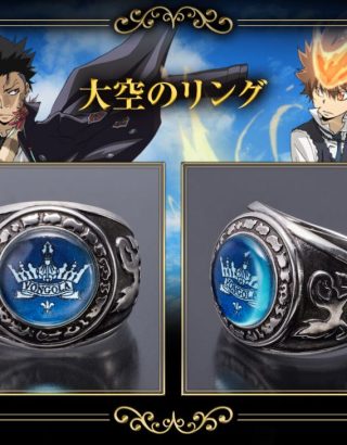REBORN RING! VONGOLA RING OF THE HEAVENS