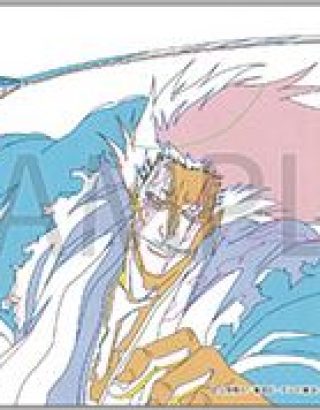 JAPAN EXCLUSIVE BLEACH ANIME EXHIBITION ENTRY CLEAR CARD F